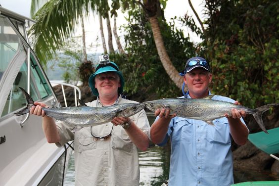 479de800f23c4920fddf798df05f9d88 | Fish Drake Bay