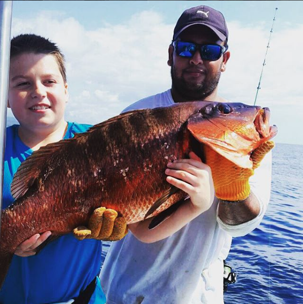 Screenshot 2016-03-31 17.47.01 | Fish Drake Bay